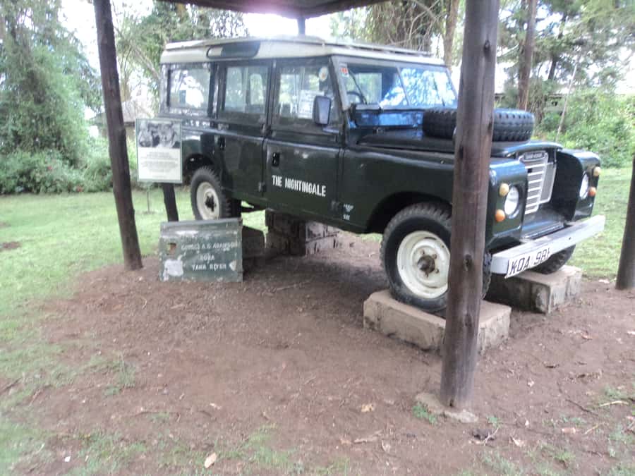 Nairobi to Lake Naivasha Day Tour with Crescent Island - Price and Value at $180, What You Get and What Can Feel Expensive