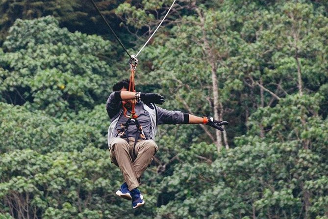 Nairobi Zip Lining Adventure Experience - The Money Question: What the $100 Covers, and What May Be Extra