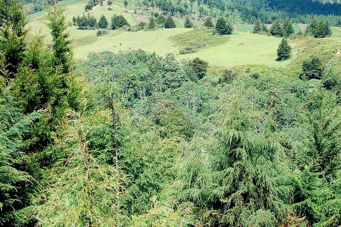 Nairobi Zip Lining Adventure Experience - Group Discounts and Upgrades: Build Your Day Your Way