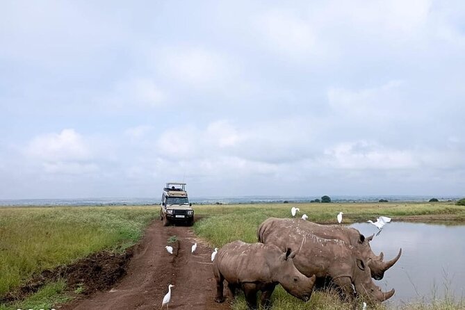 National Park Half-Day Group Tour in Nairobi with Pickup - Key highlights I think you will care about