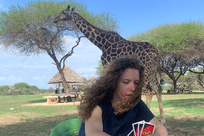 Nature Walk with Giraffes in Mombasa - Key highlights you’ll actually care about