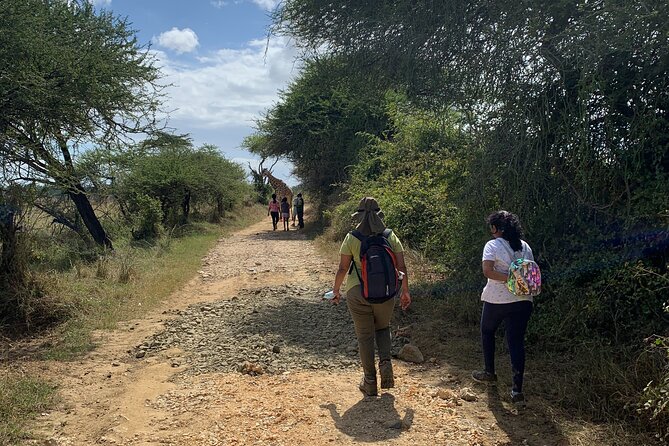 Nature Walk with Giraffes in Mombasa - The guide briefing: how they keep it safe without feeling stiff