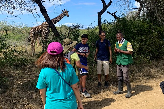 Nature Walk with Giraffes in Mombasa - Ostriches, antelopes, and turtles: a wildlife loop you learn as you go