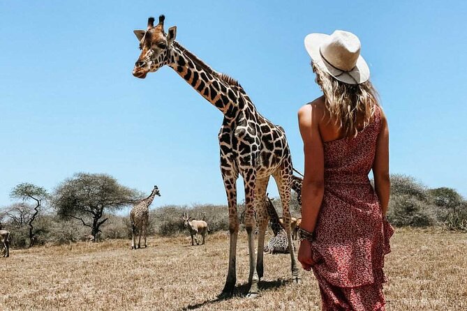 Nature Walk with Giraffes in Mombasa - Price and value: $34 for a close-up that feels like real wildlife