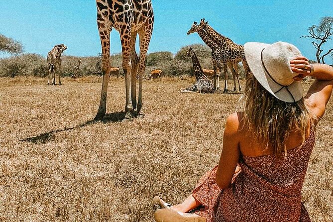 Nature Walk with Giraffes in Mombasa - Walking with giraffes: inches away, no walls, real scale