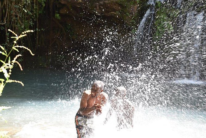 Ngare Ndare Day Trip - The One-Day Timeline from Java House, and What Private Transport Really Means