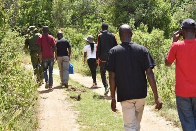Ngare Ndare Day Trip