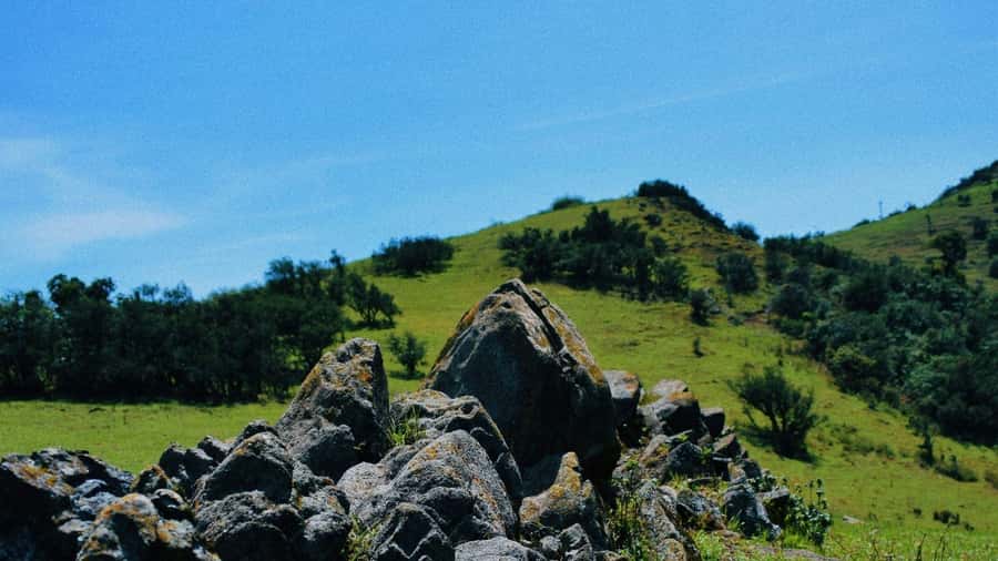 Ngong Hills: Private Hiking Tour - Key things I’d watch for