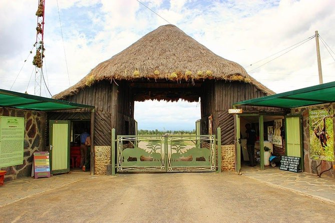 Ol Pejeta Conservancy Day Tour from Nairobi - Afternoon Game Drive With Baraka and Northern White Rhino Chances