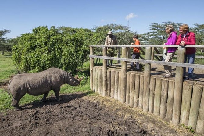Ol Pejeta Conservancy Day Tour from Nairobi - Price and Value: Is $380 Actually Fair?