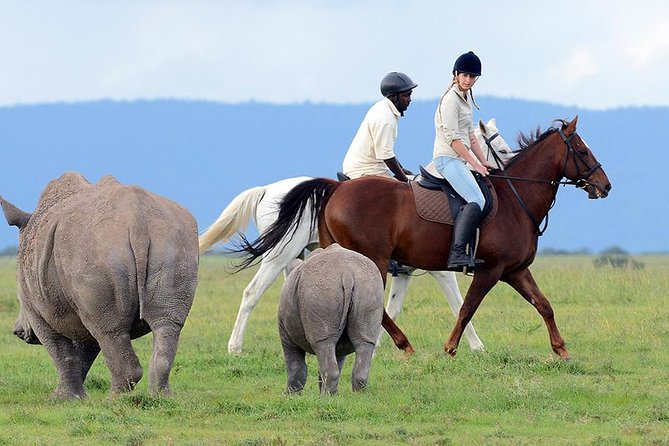 Ol Pejeta Conservancy Day Tour from Nairobi - What the Guides Actually Do During the Day