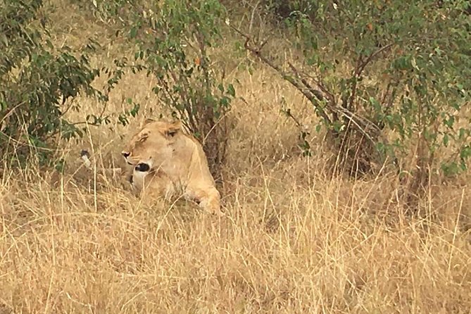 Olpejeta conservancy Day tour - Transportation reality check: the comfort issue to plan for