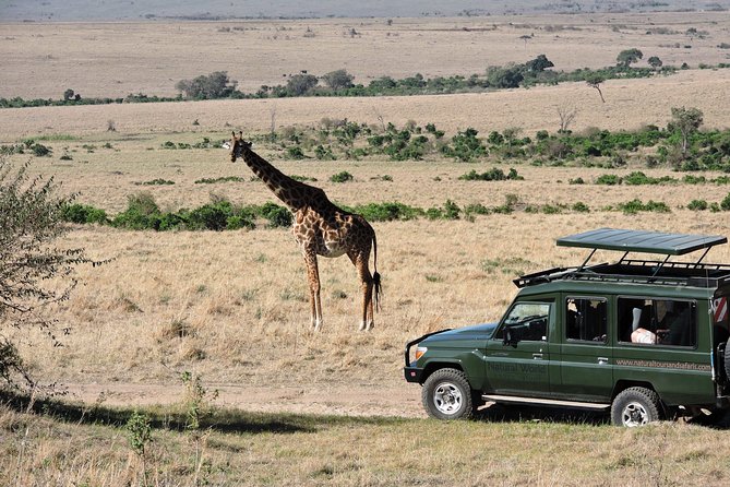 Olpejeta, Lake Naivasha, Masai Mara 5 Days Private Kenya Jeep tour - Day Five Return to Nairobi, Plus Longonot and the Tea Farm Option