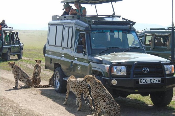 Olpejeta, Lake Naivasha, Masai Mara 5 Days Private Kenya Jeep tour - Ol Pejeta Wildlife Sanctuary: Chimpanzees and a Conservation-First Start