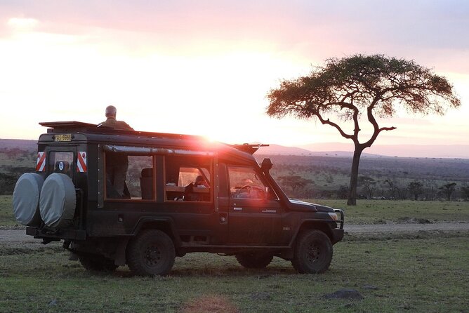 One Day Tour to Maasai Mara Game reserve from Nairobi - Lunch at 1:00pm under the trees, and how to handle optional upgrades