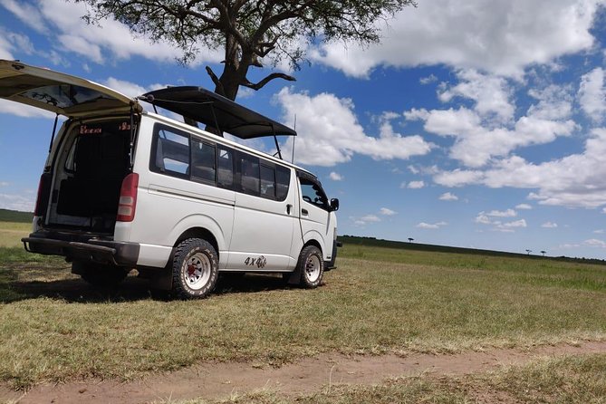 Overnight Amboseli National Park Safari from Nairobi - Price and value: why $600 can make sense here