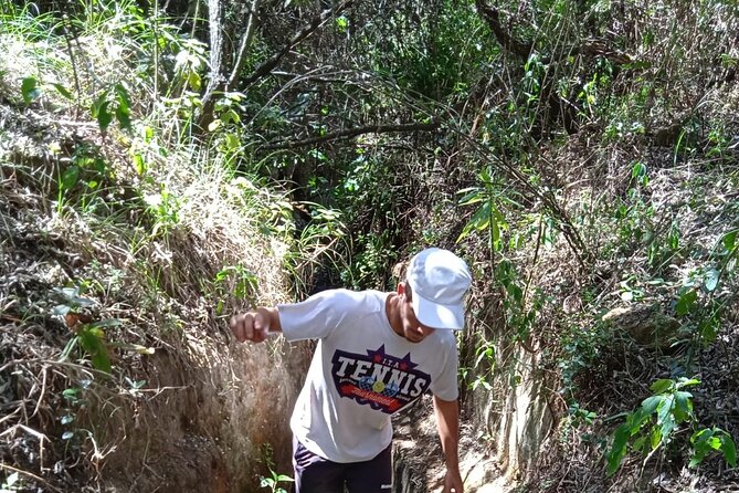 Overnight Mount Longonot and Hells Gate National Park From Nairobi - Lunch at Kifaru Restaurant: A Real Break Before the Water