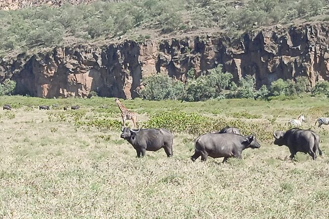 Overnight Mount Longonot and Hells Gate National Park From Nairobi - Hell’s Gate National Park by Bicycle: Freedom on Two Wheels