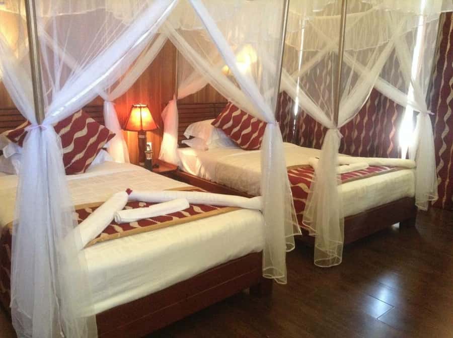 Overnight Private Safari To Masai Mara - Price and park fees: where the real number lands