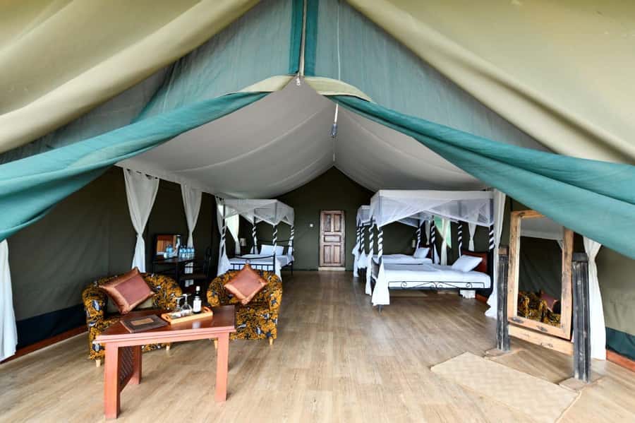 Overnight Private Safari To Masai Mara - Meals, water, and what’s actually provided during the drive