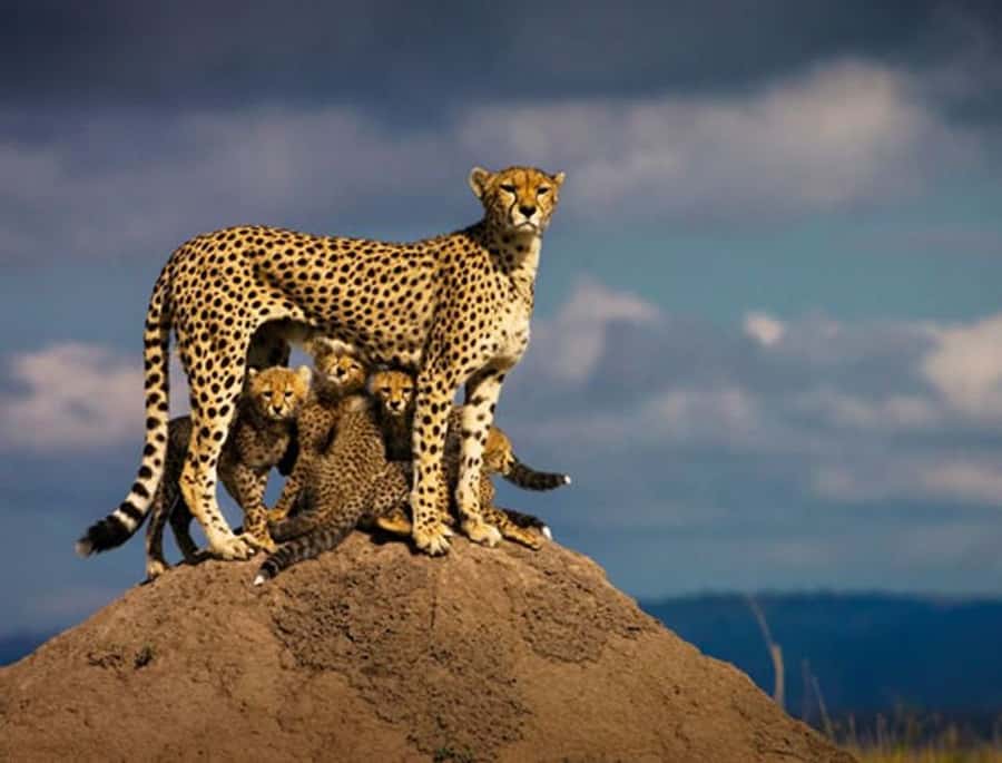 Overnight Private Safari To Masai Mara - Great Rift Valley viewpoint stop: volcanic history, plus a needed reset