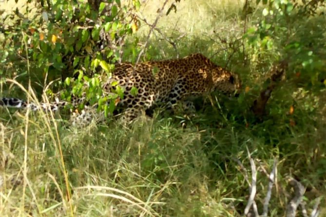 Overnight Safari To Maasai Mara - Day 1: Rift Valley drive, lunch, then the afternoon game run