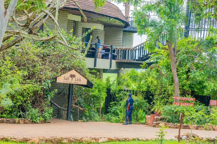 Overnight Safari to Saltlick through Tsavo East Park - Price and logistics, in plain terms: the trade-offs to know