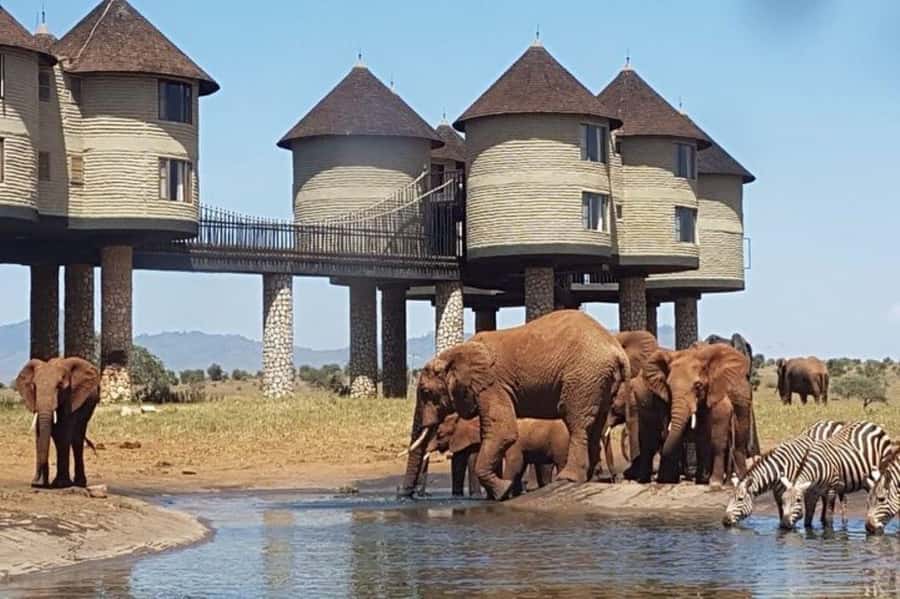 Overnight Safari to Saltlick through Tsavo East Park - What you really get for the $613 price, and where the extras start