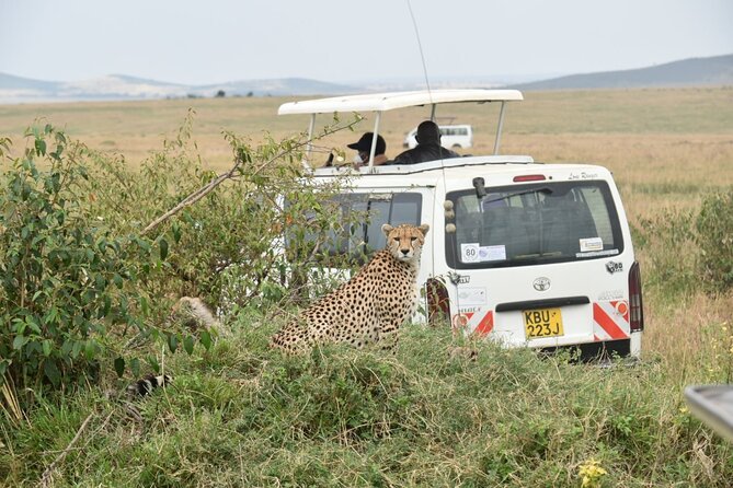 Overnight Safari to Tsavo East with Pick Up From Mombasa - Getting to Bachuma Gate from Diani Beach or Mombasa