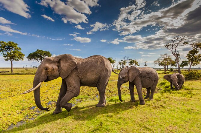 Private 3-Day Masai Mara Safari Adventure - The Nairobi to Maasai Mara timing, and what 8:00 am really means