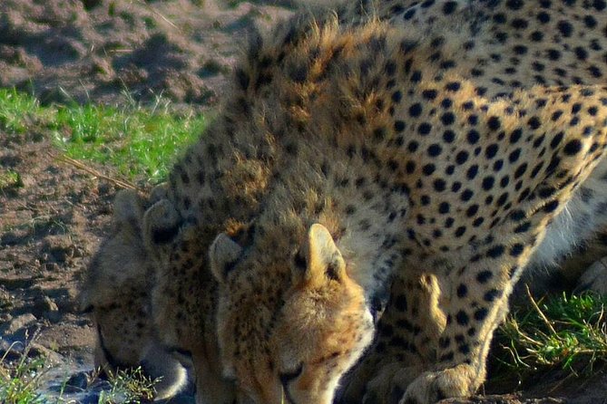 Private 3 Day Tsavo East Safari from Mombasa - Tsavo East in 3 days, and how this format works