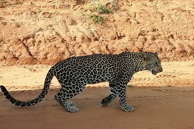Private 3 Day Tsavo East Safari from Mombasa - Who this safari is best for, and who might want a different style