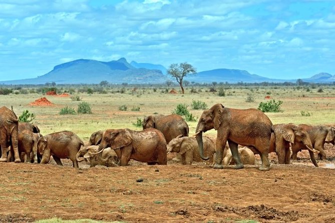 Private 3 Day Tsavo East Safari from Mombasa - From Mombasa to Bachuma Gate and VOI Wildlife Lodge