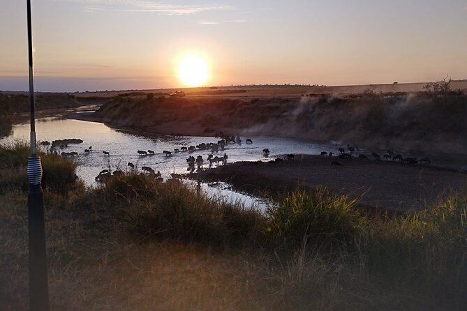 Private 5 Day Maasai Mara with Lake Nakuru and Lake Naivasha Tour - Day 4: Lake Naivasha Boat Ride for Hippos, Fish Eagles, and Close Bird Viewing