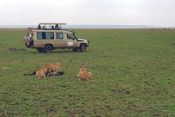 Private 5 Day Maasai Mara with Lake Nakuru and Lake Naivasha Tour - Day 5: Hell’s Gate Mini Game Drive, Then Back to Nairobi
