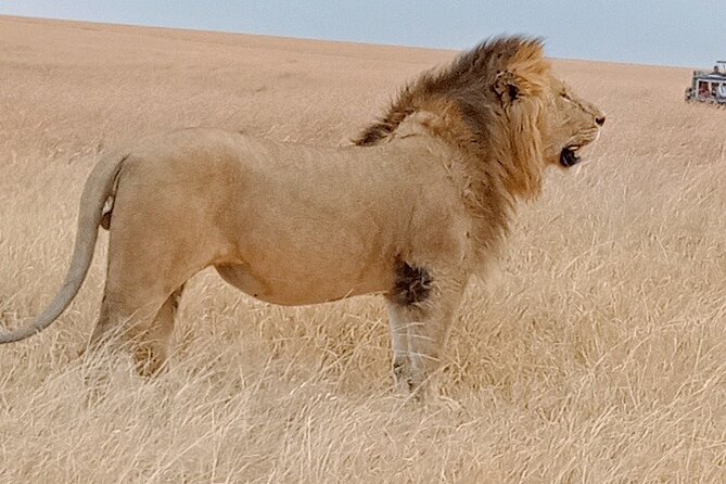 Private 6-Days Tour Exploring in Amboseli & Nakuru National Park - Key highlights to know before you go