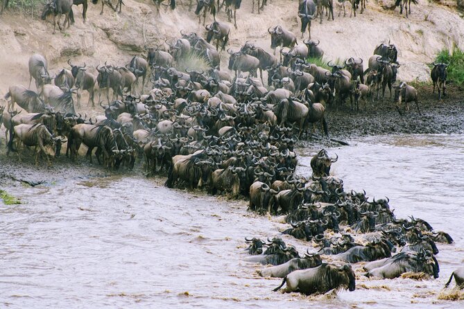 Private 7 Days Kenya Safari Amboseli, Naivasha, Nakuru, Mara - Heading Toward Hell’s Gate and Lake Naivasha: Rift Valley Stops That Change the Mood