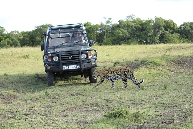 Private 7 Days Kenya Safari Amboseli, Naivasha, Nakuru, Mara - Lake Nakuru: Bird-Watching Focus With Rhino and Special Giraffe Odds