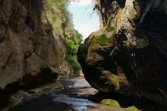 Private Day tour to Hell's Gate National Park and Lake Naivasha - Gorge walking inside Hell’s Gate: caves, towering cliffs, and raptors