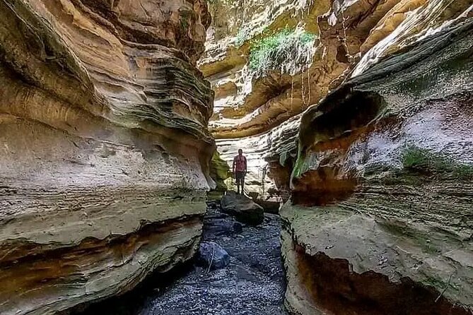 Private Day tour to Hell's Gate National Park and Lake Naivasha - Practical tips: what to pack, what to wear, and how to enjoy the ride
