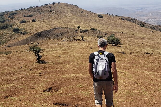 Private Half Day Hike to Ngong Hills from Nairobi - What you see along the trail: animals, windmills, and quiet moments
