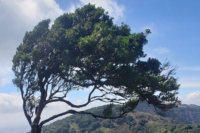 Private Half Day Hike to Ngong Hills from Nairobi - The drive and start at KenGen: getting out of the city smoothly