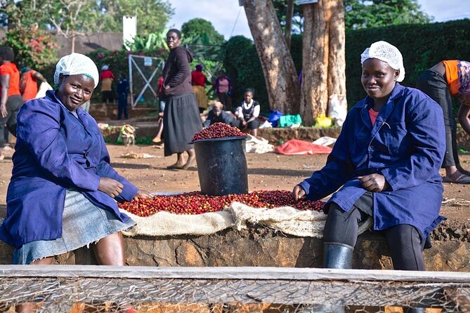 Private Half-Day Tour in Fairview Coffee Farm from Nairobi - Fairview Coffee Farm: a short trip with a real coffee payoff