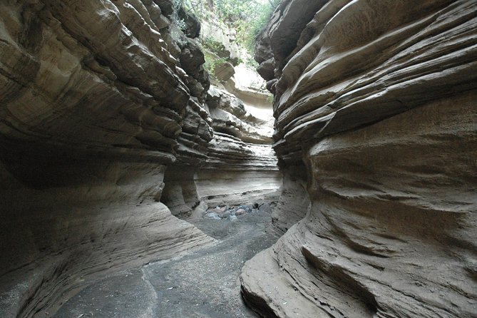 Private Layover Tour to Hells Gate National park with Optional Boat Ride - Lake Naivasha optional boat ride for birds and hippos