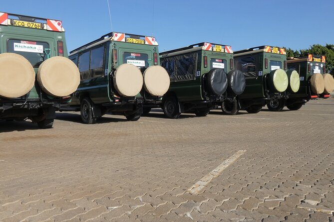 Private Mini Safari Tour in Nairobi - Practical advice for a better safari day