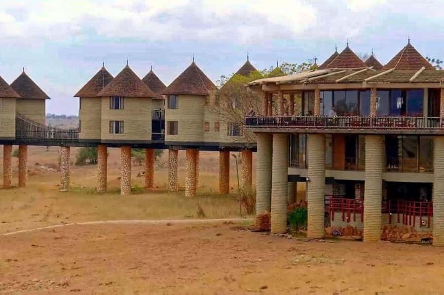 PRIVATE OVERNIGHT SALTLICK SAFARI FROM MOMBASA OR DIANI - Salt Lick Safari in Taita Hills, built for close-up wildlife watching