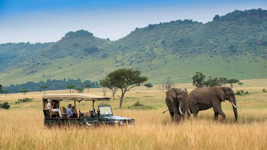 Private Safari Day-Tour in Amboseli National Park - The 0500 Pickup and Sunrise Drive Out of Nairobi