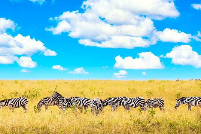 Private Tour of Tsavo East National Park from Mombasa - Tsavo East’s red elephant magic, made practical for your day