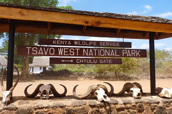 Private Tour of Tsavo East National Park from Mombasa - The 5:00 am pickup that sets your chances up