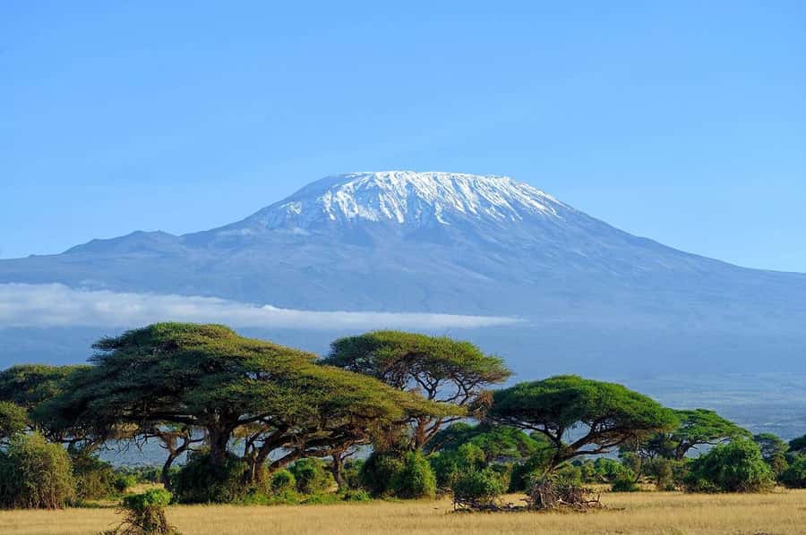 Private Tour to Amboseli National Park - Quick take: what stands out on this Amboseli private safari